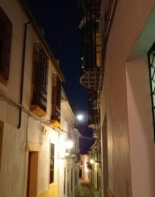 Apartamento Precioso Loft En El Centro De Cordoba. Exterior foto